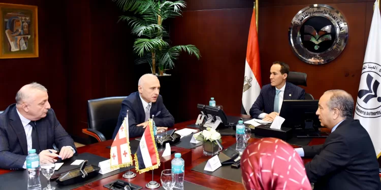 هيئة الاستثمار: فرص واعدة لتعزيز الشراكة الاقتصادية بين مصر وجورجيا