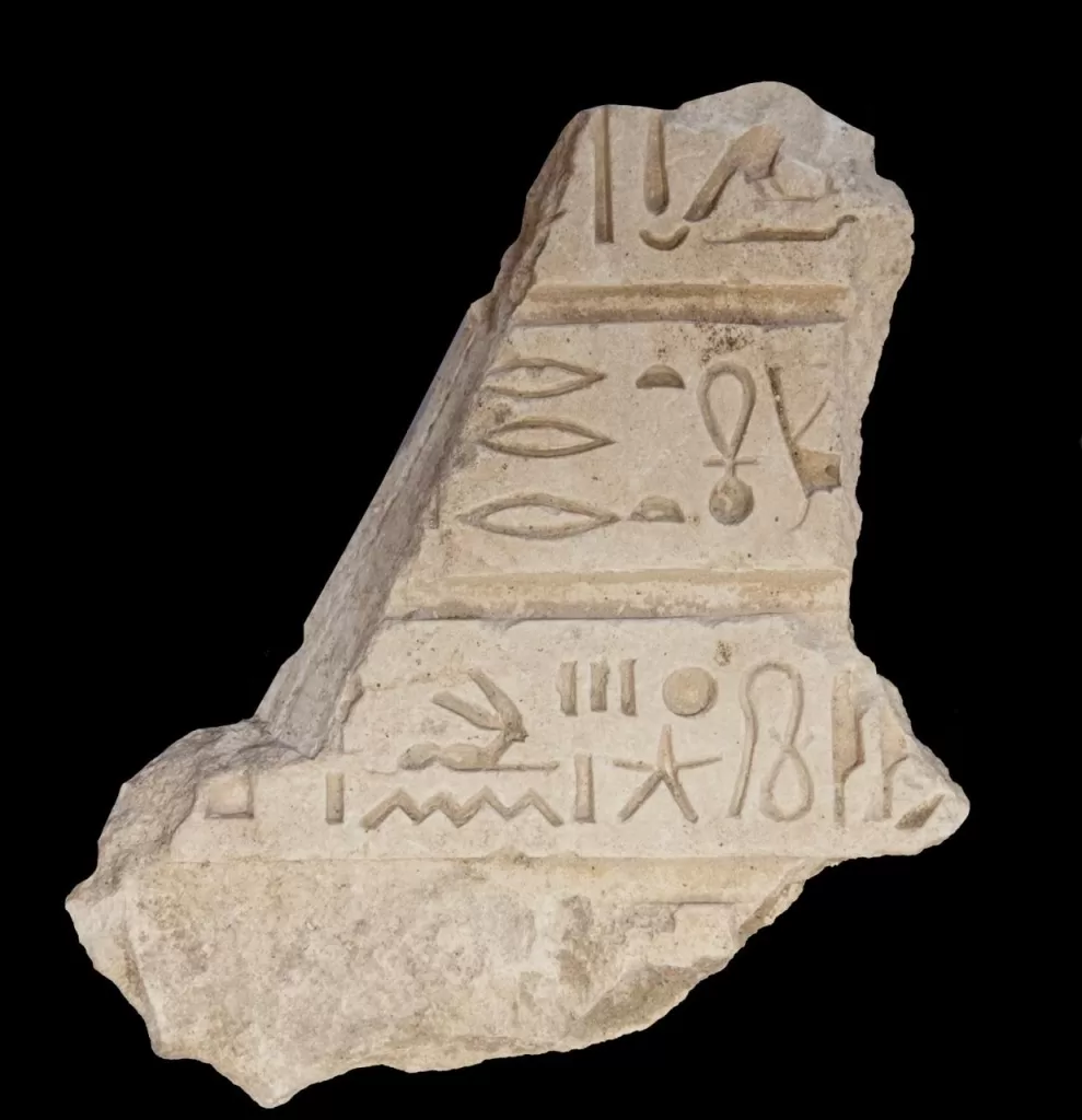 WhatsApp Image 2026 08 15 at 4.09.55 PM - جريدة الجمهورية