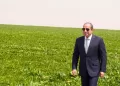 الزمالك يستقر على بقاء «الجفالى».. وجلسة مع«فتوح»