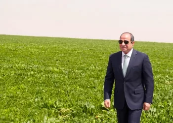 الزمالك يستقر على بقاء «الجفالى».. وجلسة مع«فتوح»