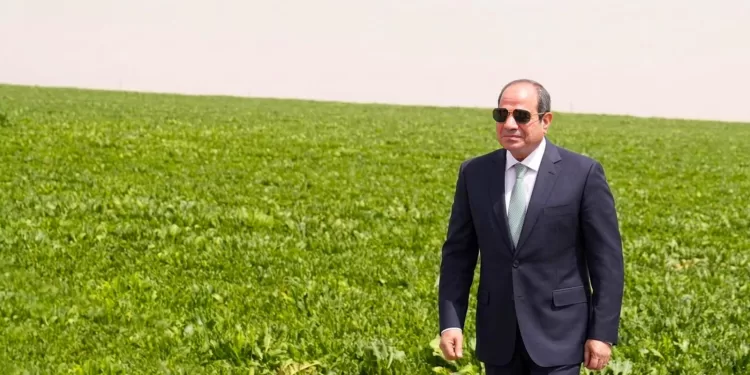 الزمالك يستقر على بقاء «الجفالى».. وجلسة مع«فتوح»