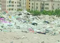 الزمالك يستقر على بقاء «الجفالى».. وجلسة مع«فتوح»