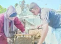 بيراميدز يعقد مؤتمر اليوم لتقديم «موكوينا»