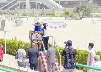 تأجيل جلسة «فتوح» .. بعد نقطة الاتحاد