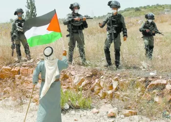 «بيراميدز» يبدأ الأستعداد لـ «أبوقير»