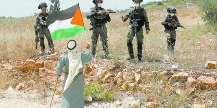 «بيراميدز» يبدأ الأستعداد لـ «أبوقير»
