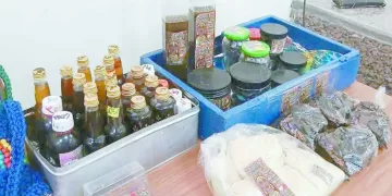 القناة.. ضربة بداية من العيار الثقيل