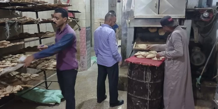 تموين المنيا يحرر 298 مخالفة بالمخابز والأسواق خلال أسبوع 1 - جريدة الجمهورية تموين المنيا يحرر 298 مخالفة بالمخابز والأسواق خلال أسبوع