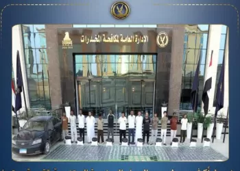 مصرع ثلاثة من «أباطرة السموم» وضبط أعوانهم بعد معركة الآلي.. سقطوا بأكثر من طن مخدرات و154 بندقية بـ130 مليونًا