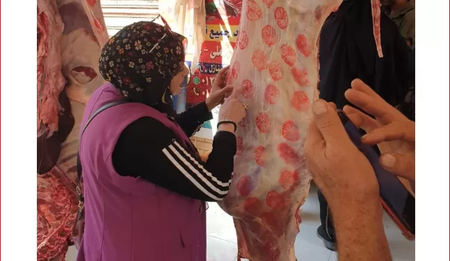 ضبط 2 طن و439 كيلو لحوم مجهولة المصدر بالشرقية