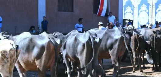 14 3 - جريدة الجمهورية