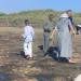 استزراع 70 ألف شجرة مانجروف بمحمية وادي الجمال.. إنجاز بيئي يُعزز التنمية المستدامة بالبحر الأحمر