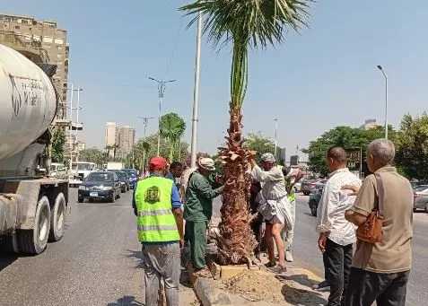 2 81 - جريدة الجمهورية