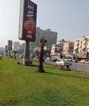 3 76 - جريدة الجمهورية
