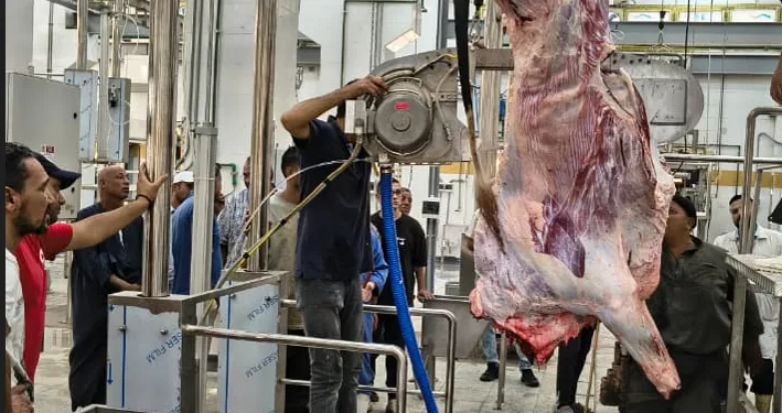 بتكلفة 60 مليون جنيه.. بدء التشغيل التجريبي لمجزر العزب بالفيوم بطاقة 200 رأس ماشية يومياً