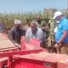 محافظ أسيوط: مشروعات تنموية بقرى أبنوب ضمن «حياة كريمة» لدعم الزراعة وتدوير المخلفات وتحسين جودة الحياة
