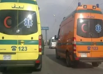 إصابة 4 عمال في انهيار سور منزل قديم بقرية «طوخ القراموص» بالشرقية