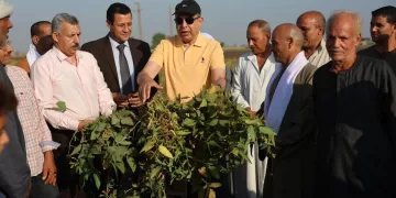 محافظ المنيا: المحافظة الأولى جمهوريًا في إنتاج فول الصويا