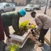 استكمال أعمال التشجير بشوارع الجيزة ضمن مبادرة «اتحضر للأخضر»