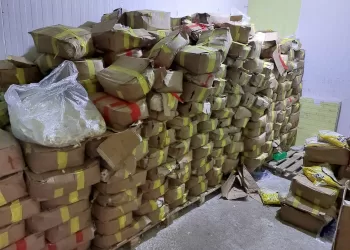 ضبط 7.5 طن بطاطس و9 أطنان لانشون وبن مغشوش خلال حملات رقابية بالجيزة