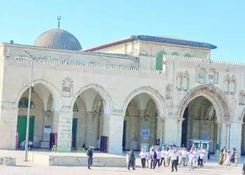 الجماهير تهاجم شركة الكرة.. و«عبد الحميد» : اسم الزمالك ليس للبيع