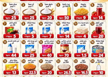 التموين تطرح 30 سلعة في 284 منفذًا ضمن مبادرة خفض الأسعار