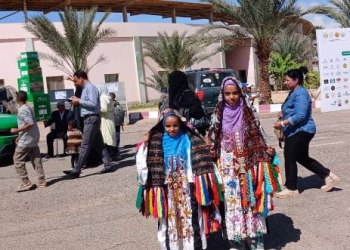 من النخلة تبدأ الحكاية.. سيدات الوادي الجديد يحوّلن مخلفات النخل إلى منتجات فنية في مهرجان سيوة